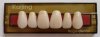 4 layer acrylic denture -- KAIJINNG