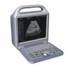 Full digital color screen portable ultrasound scanner