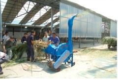 motor operated chaff cutter