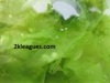 sarrgassum seaweed