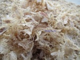 crab shrimp shell chitn chitosan