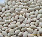 White Kidney Bean Extract