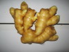 Anqiu 100g-150g Fresh Ginger