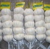 2011 new fresh pure white garlic