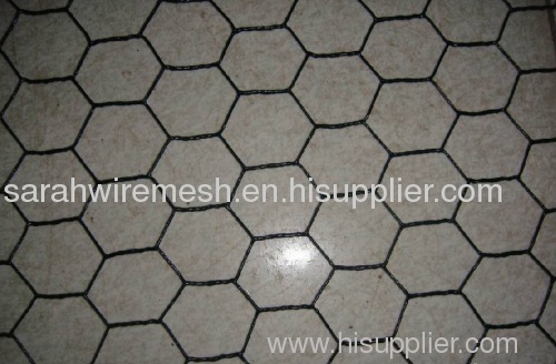 Hot dipped galvanized hexagonal wire mesh