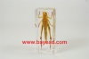 real insect amber lucite paperweights,science gifts,teacher gifts