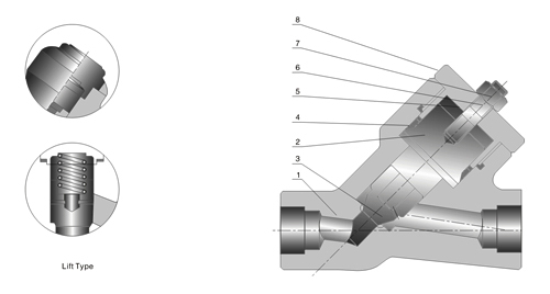 Compact Steel Check Valve