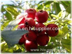 Hawthorn Leaf Extract