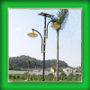 Outdoor Solar Garden Lights