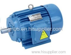 Y Series Electric Motor