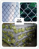 PVC coated chain link wire mesh