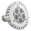 5*1W E27 LED PAR30 Lamp