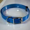 dog collar