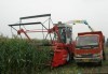 Maize Silage Machine