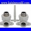 PPR injection pipe fitting mould