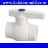 PPR injection pipe fitting mould