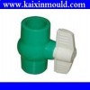 PPR injection pipe fitting mould