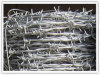 Galvanized Barbed Wire