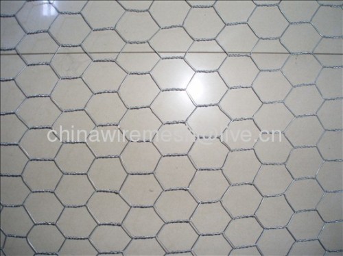 electro galvanized hexagonal wire netting(factory)