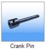 Crank pin