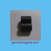 injection plastic magnet