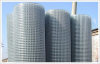 Galvanized Welded Wire Mesh