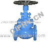 Casting steel Globe valve