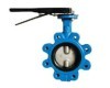 lug type butterfly valve