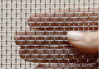 Galvanized Square Wire Netting