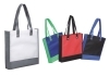 NON-WOVEN SHOPPING BAG