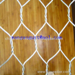 hexgonal wire netting