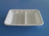 biodegradable disposable food tray