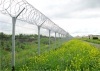 Y shaped security protection fence