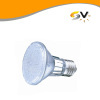 LED PAR20 Lamp