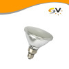 LED PAR38 Lamps