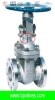 BJV CF8/CF8M/ CF3/ CF3M/CF8C/ CF3M flanged gate valve