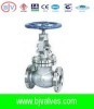 BJV Stainless steel flanged RF RTJ globe valve