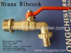 Brass Bibcock