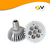 LED PAR30 Lamp