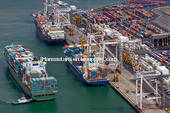 Freight forwarder in Shenzhen,China