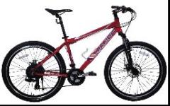 Mountain bicycle