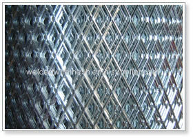 ss Welded Mesh