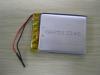 Polymer Battery