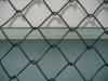 Chain link netting