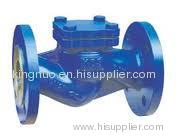 DIN Standard Check Valve