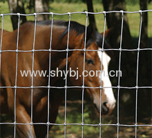 Field fence