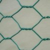 PVC Coated hexagonal wire mesh