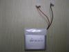 Polymer Battery