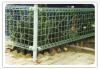 wire mesh fence