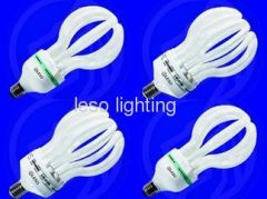 lotus energy saving lamps